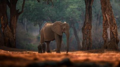 First national Tourism Satellite Account Launched in Zimbabwe