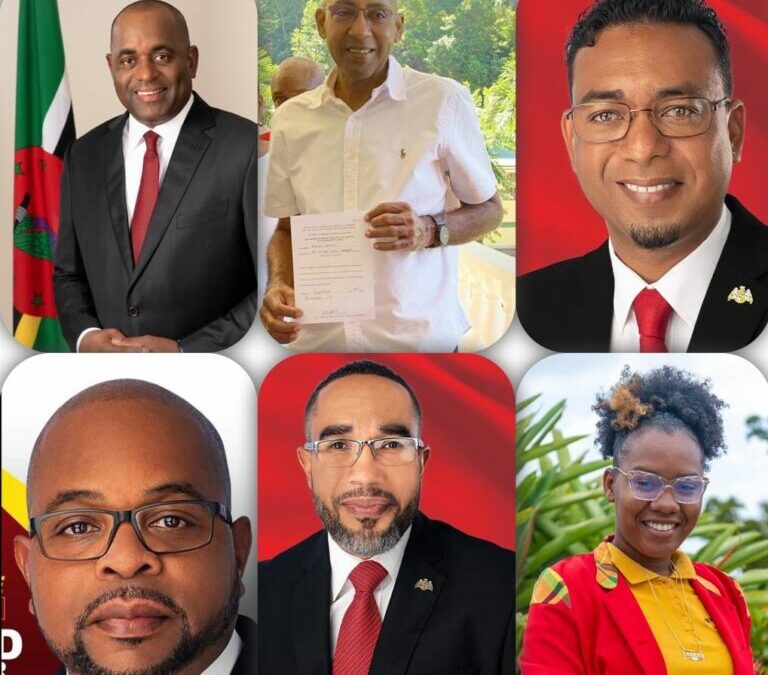 Six seats declared for DLP