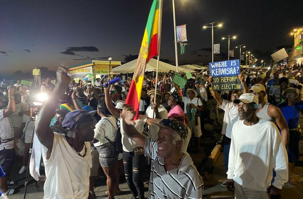 More to come as hundreds participate in anti-election protest