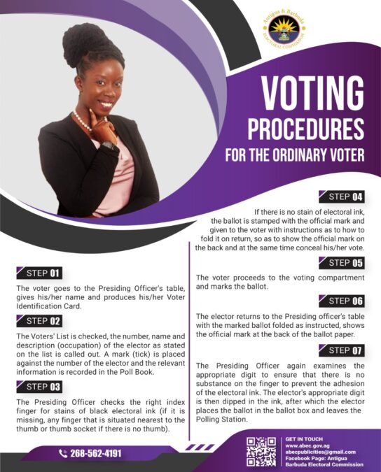 Voting rules and procedures