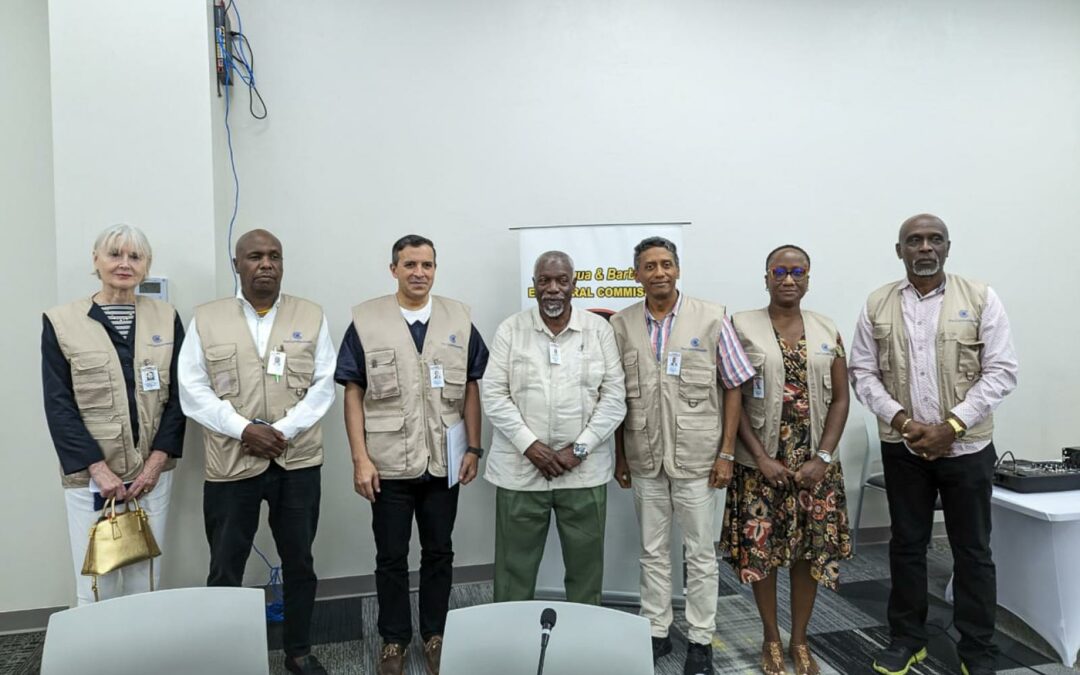 WATCH: Observer Group not here to interfere with elections