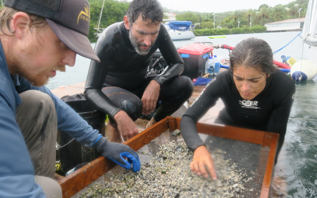 Taking our Cultural Heritage Under the Sea – Discovering the Tank Bay Shipwreck in the Dockyard