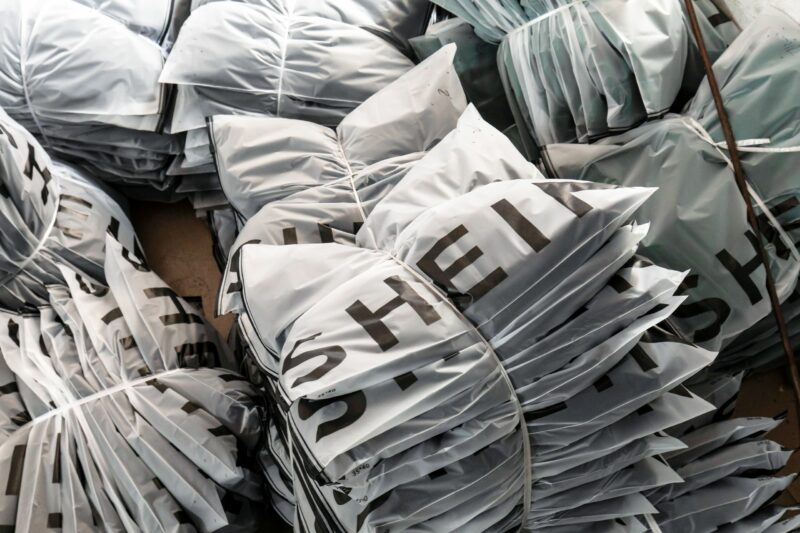 Woman allegedly buys over 5K in items from Shein with employer’s card