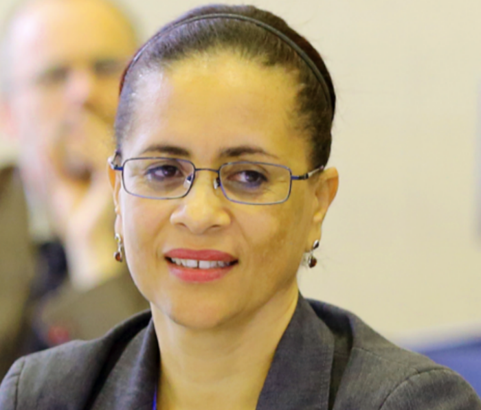 Chief Environment Officer Warns of Challenges in Renewable Energy Transition for Small Island Developing States”