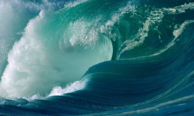 Climatologist Dale Destin Urges Tsunami Readiness After Powerful Earthquake Near Antigua
