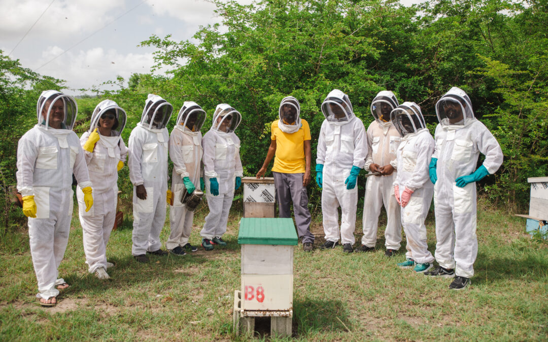 Antigua and Barbuda show the power of SIDS local action to achieve Sustainable Development Goals