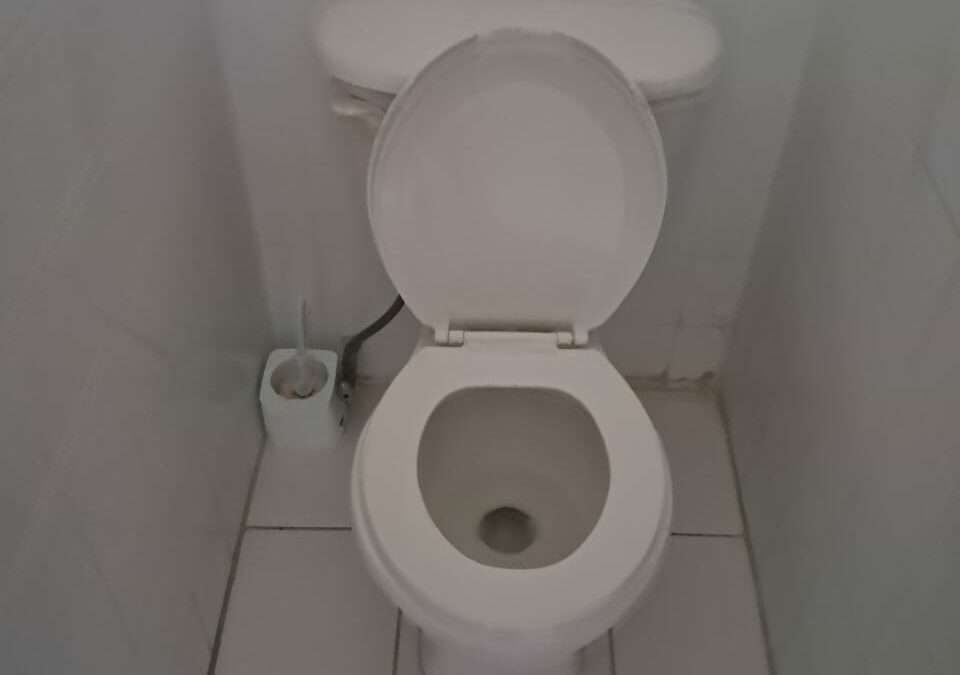 VIDEO: Toilet Paper Woes at High Court