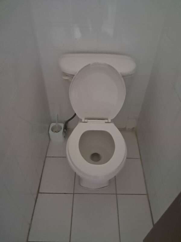 VIDEO: Toilet Paper Woes at High Court