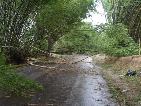 Hurricane Beryl leaves Jamaican homes without power