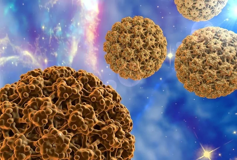 Cervical Cancer Elimination Unit launches HPV initiative