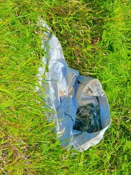 Villagers Find Clothing Believed to Belong to Deceased Kelsi Cain