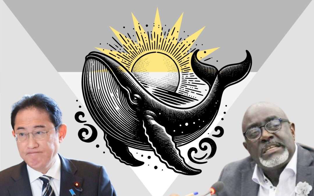 Whaling, Again? | Editorial