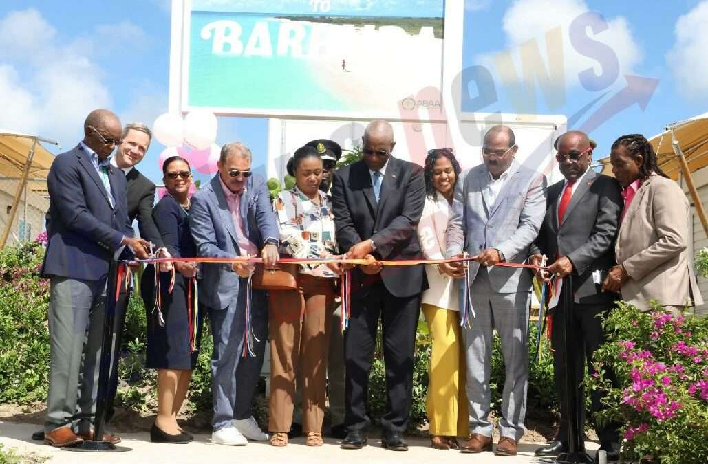 The Elephant on the Runway | Editorial