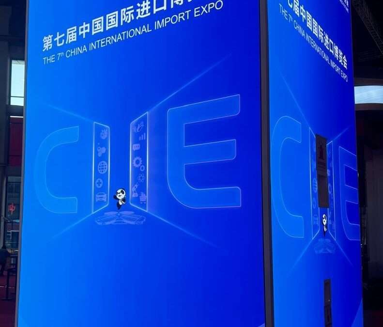 Perspectives on the 7th China International Import Expo’
