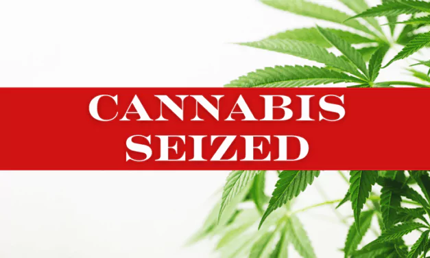 Police Seize Over 13 Pounds Of Cannabis At Airport In Joint Drug  Operation