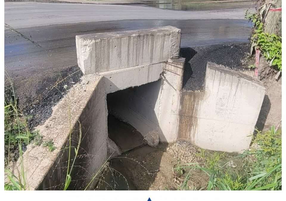 LETTER: When Incompetence Abounds