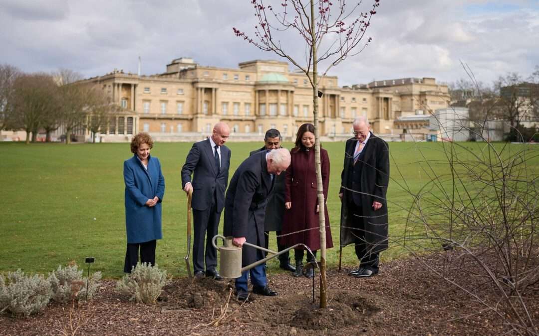 His Majesty The King Plants a Tree to Commemorate Pan-Commonwealth Commitment to The Queen’s Commonwealth Canopy