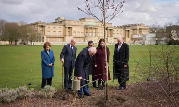 His Majesty The King Plants a Tree to Commemorate Pan-Commonwealth Commitment to The Queen’s Commonwealth Canopy