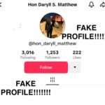 Fake TikTok Account Impersonates Education Minister Daryll Matthew