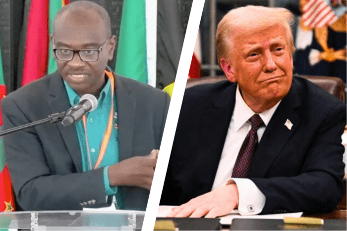 VIDEO: UWI Five Islands Principal on how Trump Tariffs will affect Caribbean nations