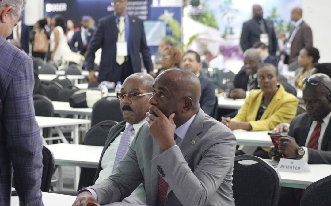 Dominica’s PM Wants Private Sector Support to Defend Dominica’s Citizenship by Investment Programs