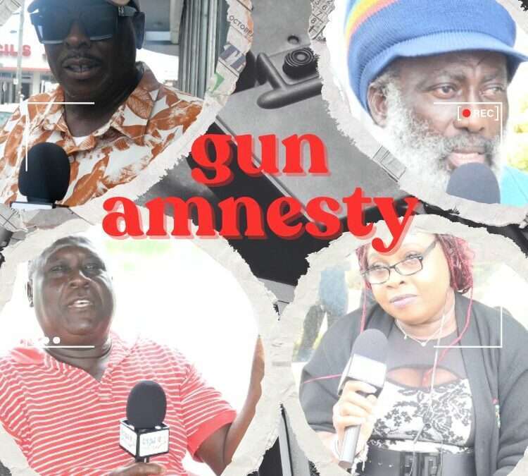 VIDEO: Gun Amnesty | The Carrot or the Stick?