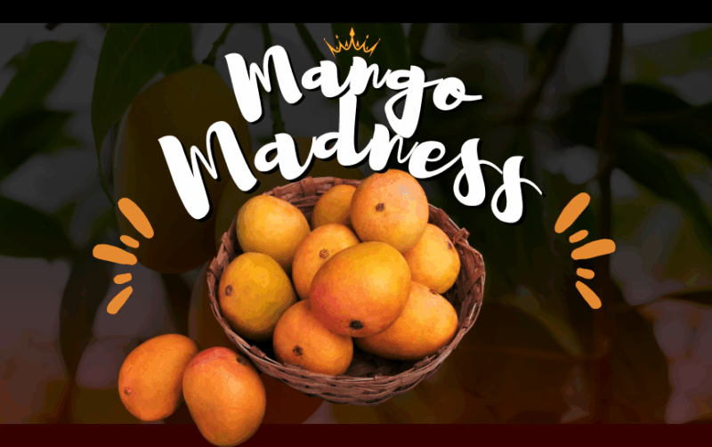 VIDEO STORY: Mango Madness | Enjoy the Juicy Delights, but Don’t Overdo It!