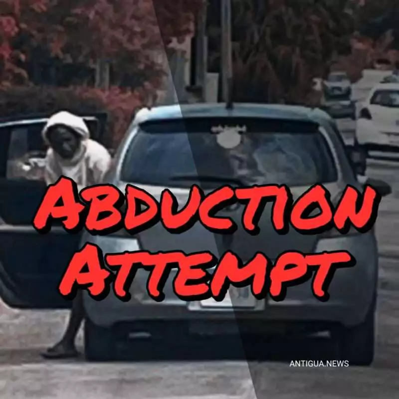 VIDEO: Teen Girls Report Disturbing Abduction Attempt Near All Saints Secondary School