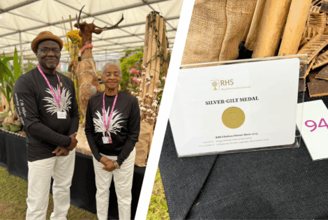 Antigua and Barbuda Horticultural Society Wins Silver Medal at RHS Chelsea Flower Show 2025