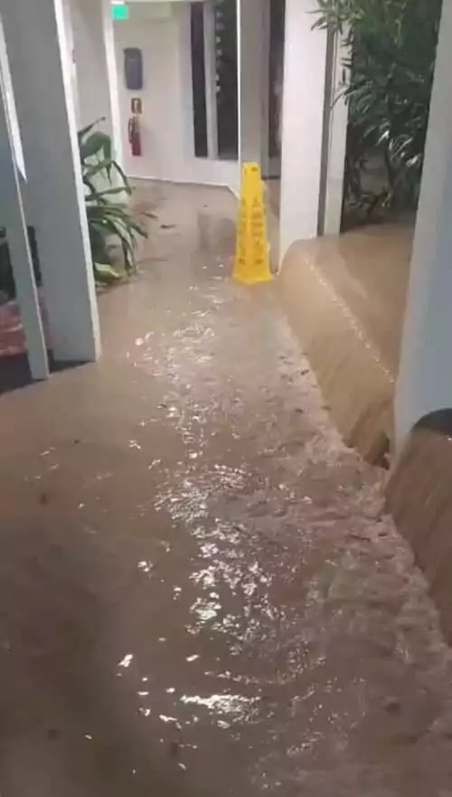 VIDEO: Royalton Chic is having its fair share of waters