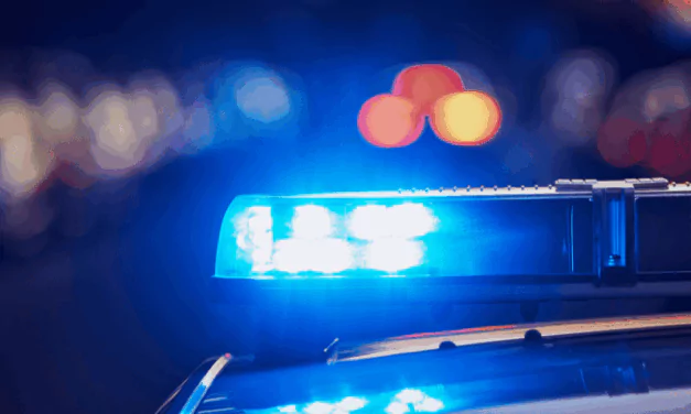 Police Operations Lead to Multiple Arrests and Seizures Across Antigua