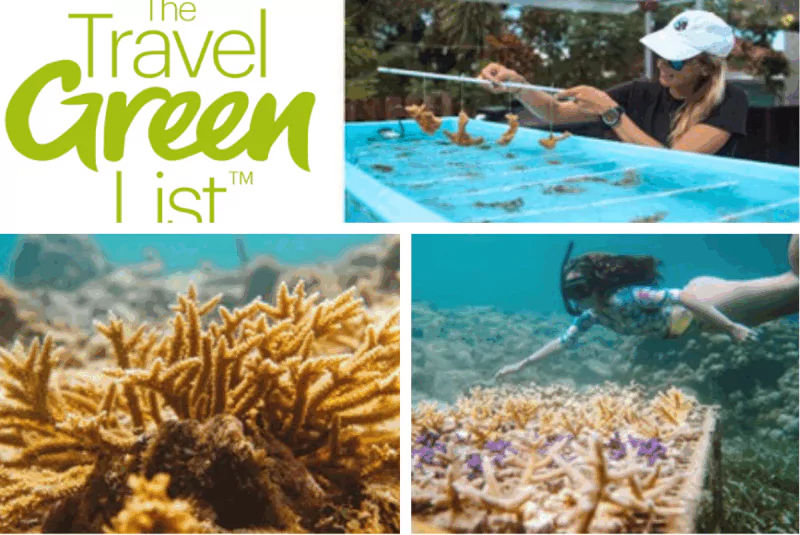 Antigua and Barbuda Honoured on Wanderlust’s Global Travel Green List 2025 for Coral Reef Restoration Project
