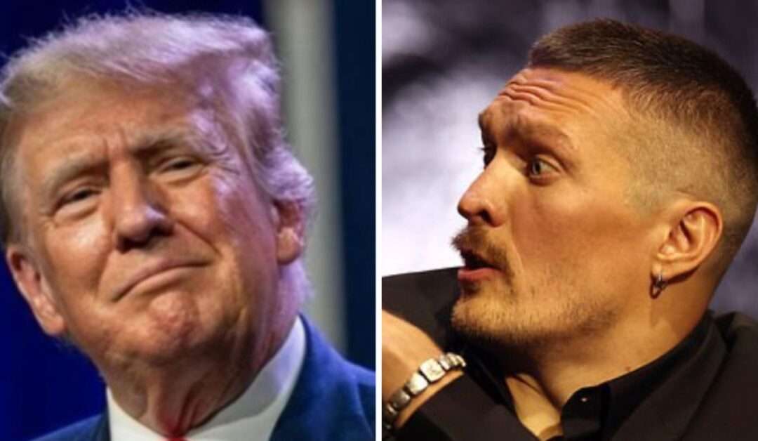 Trump challenged to experience reality of war by world boxing champion