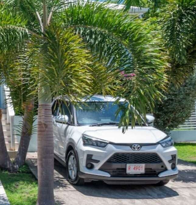 Police Seek Public’s Help Following Midday Armed Robbery in Jabberwock