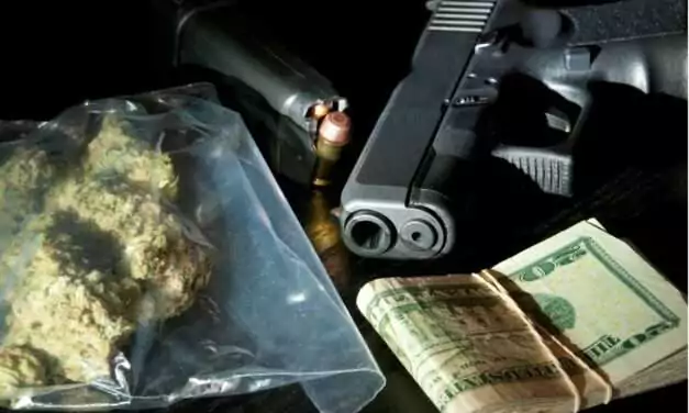 Police Seize Firearm, Ammunition and Cannabis During Red Hill Raids
