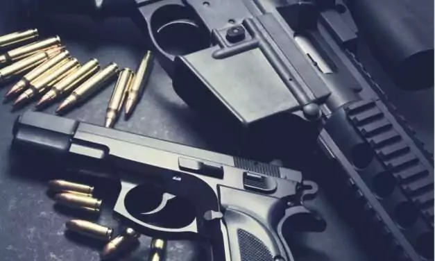 Police Seize Firearm, Ammunition and Drugs in Cedar Valley Operation