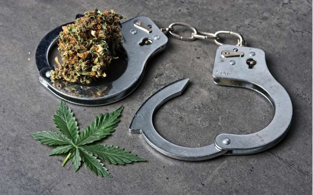 Three Arrested in Separate Drug Operations Across Antigua