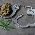 24 year old arrested for Unlawful Cannabis Possession