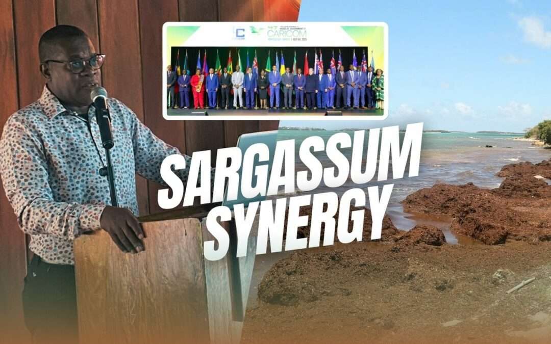 VIDEO STORY: Sargassum Synergy | A Call for Regional Cooperation