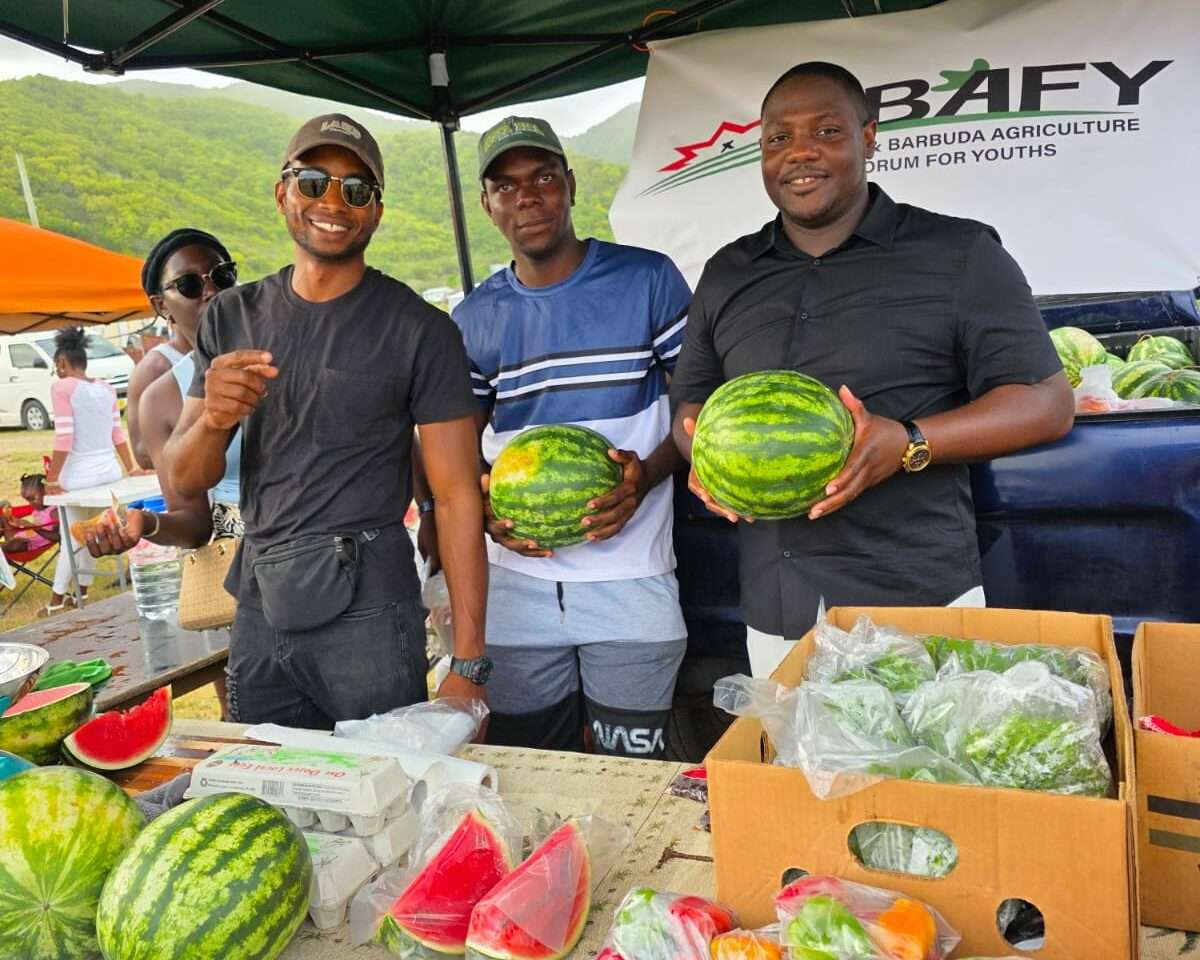 Piango Festival 2025 Draws Thousands, Marks Vibrant Return
