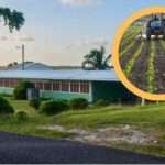 Cabinet Reviews Education Sector Readiness Ahead of New Academic Year