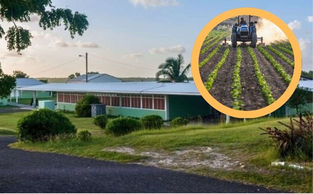 Cabinet Reviews Education Sector Readiness Ahead of New Academic Year 