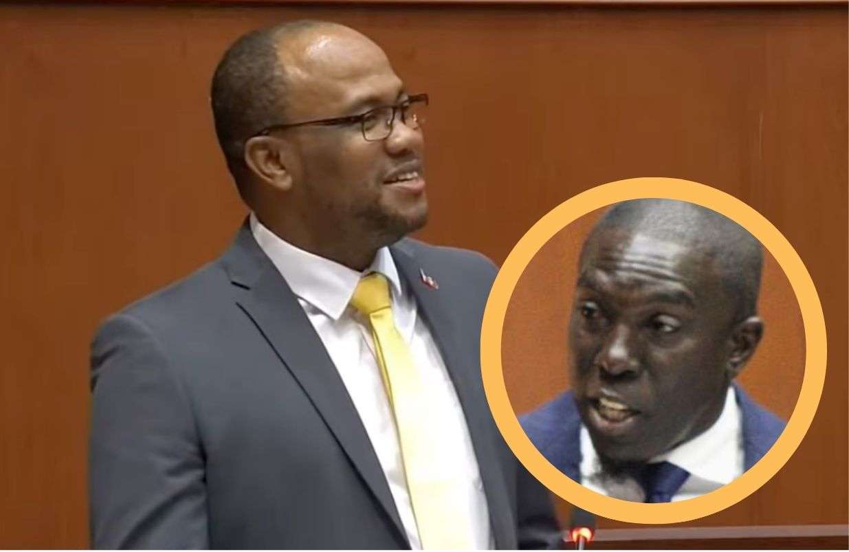 St. Peters MP calls out Pringle in Parliament