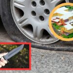 Domestic Dispute Leads to Violent Confrontation at SLBMC Parking Lot