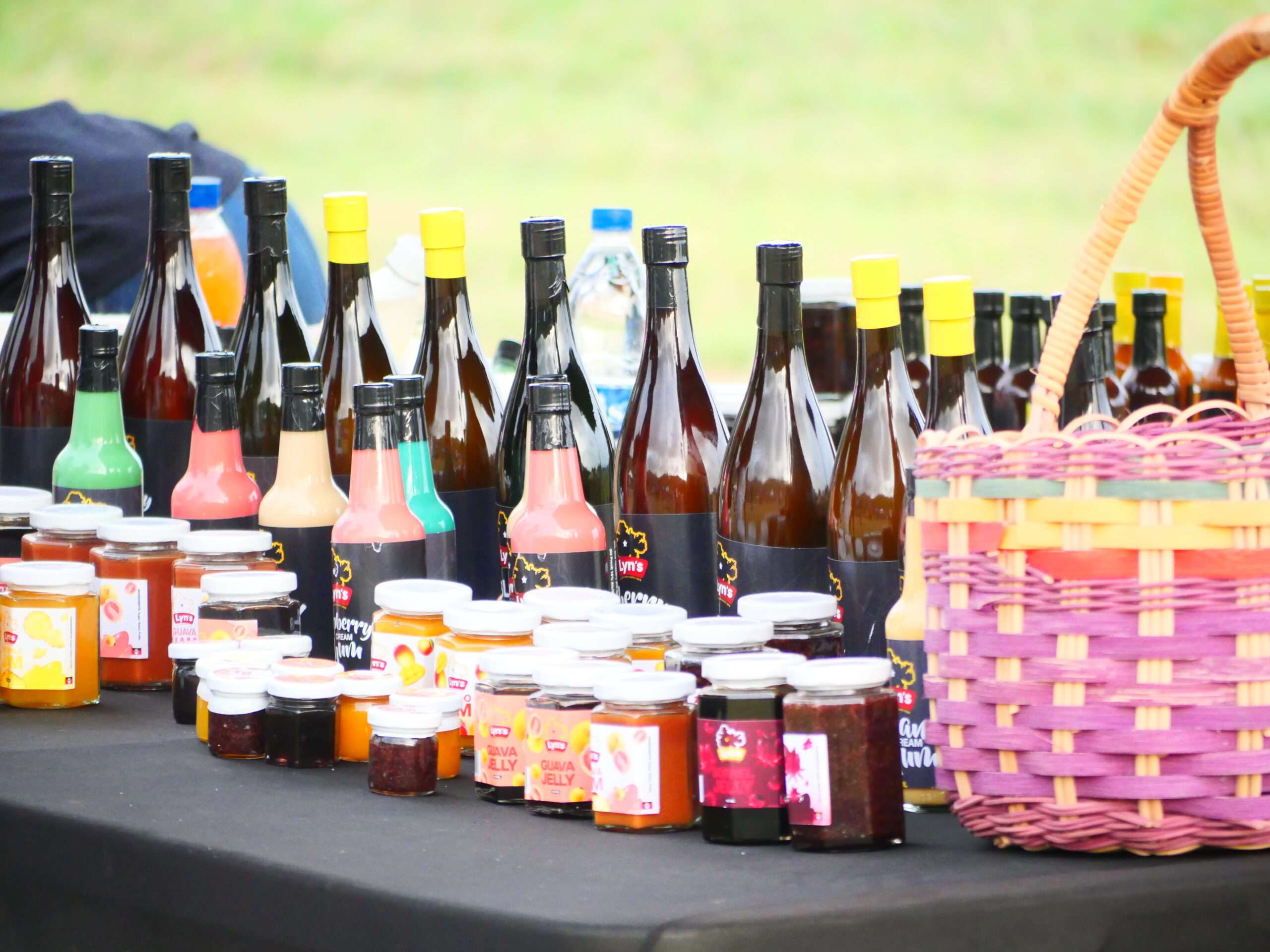 Piango Festival 2025 Draws Thousands, Marks Vibrant Return