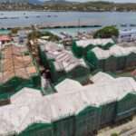 Chinese $100 million Grant Transforms Point as Booby Alley Project Sees Steady Progress