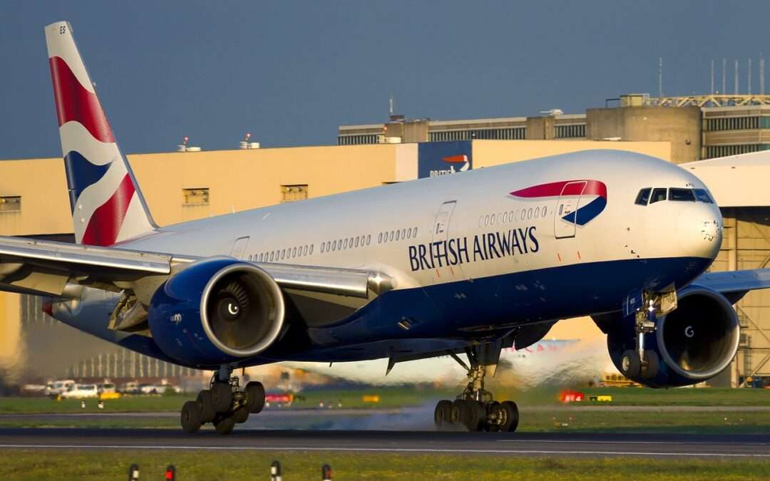 Dog on Runway Forces British Airways to Delay Landing at V.C. Bird