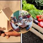 Cabinet Fast-Tracks Housing Plans, Expands Beautification and Food Security Initiatives