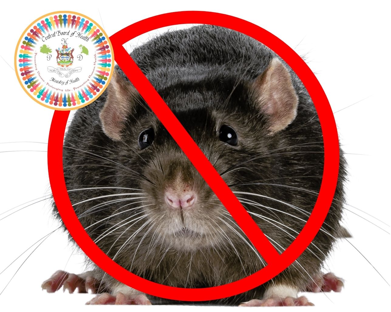 Central Board of Health Launches Anti-Rodent Campaign