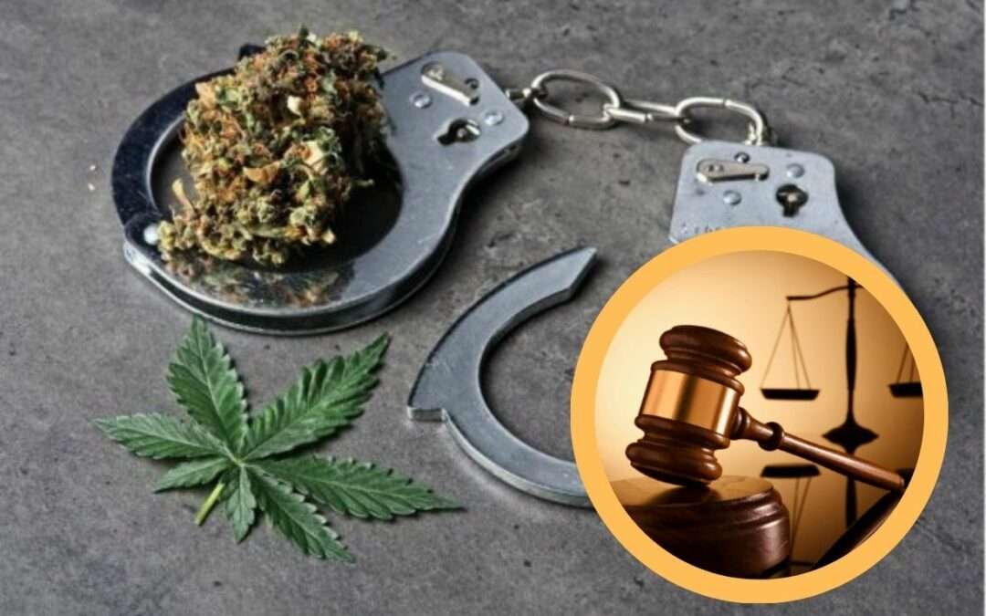 Two Men Await Sentencing After Admitting to Cannabis Possession